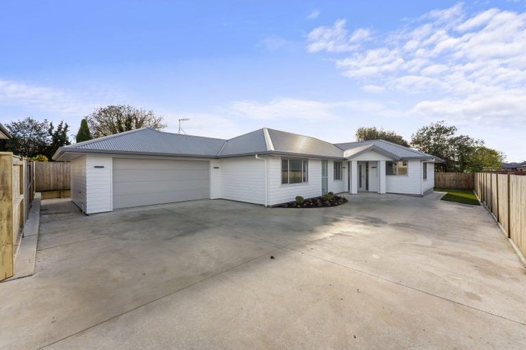 Photo of property in 163a Denbigh Street, Feilding, 4702