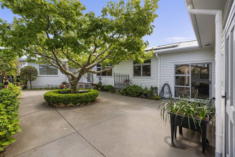 Photo of property in 8 Blenheim Place, Vogeltown, New Plymouth, 4310