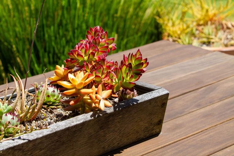 Photo of property in 53a Hillview Road, Waihi Beach, 3611