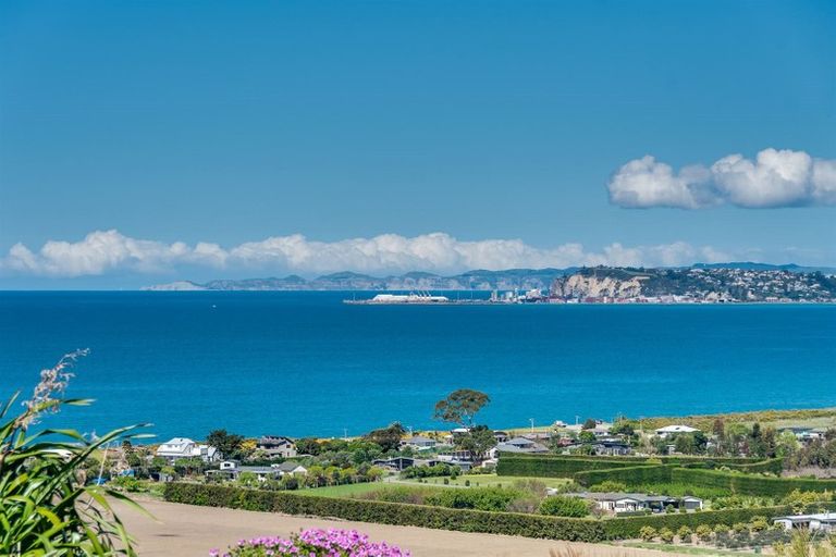 Photo of property in 787 Main North Road, Bay View, Napier, 4182