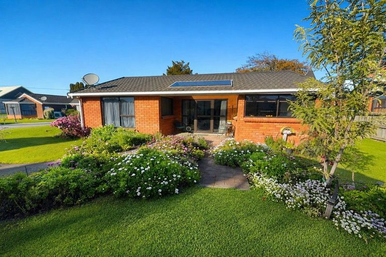 Photo of property in 4a Henry Street, Blenheim, 7201