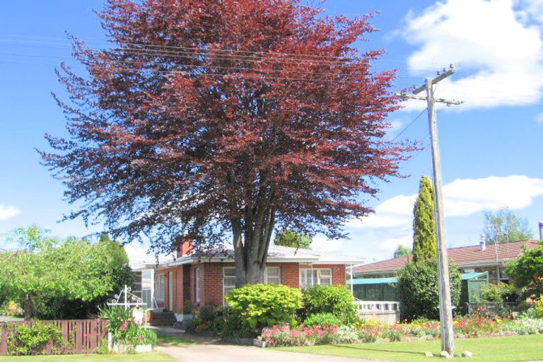 Photo of property in 17 Bedford Crescent, Matamata, 3400