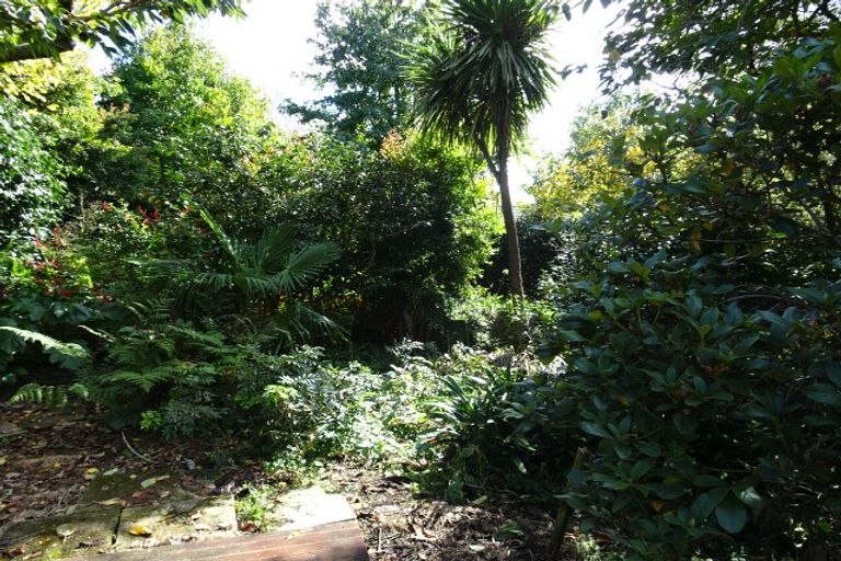 Photo of property in 55 Hollister Lane, Ohauiti, Tauranga, 3112