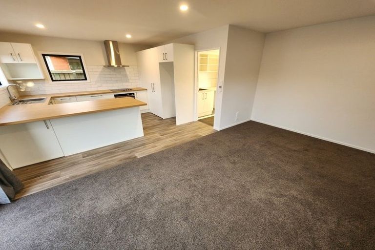 Photo of property in 47 Damien Place, Bromley, Christchurch, 8062