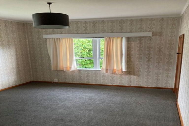 Photo of property in 46 Haultain Street, Fairfield, Hamilton, 3214