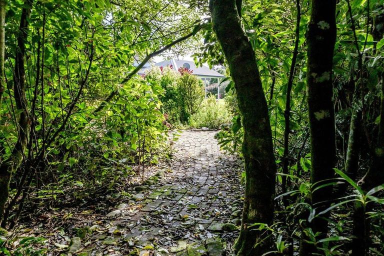 Photo of property in 84 Maori Creek Road, Marsden, Greymouth, 7872