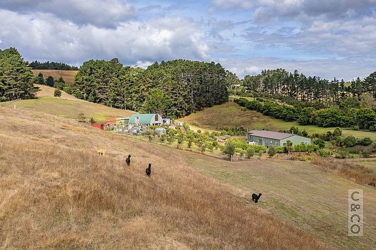 Photo of property in 231 Taiapa Road, Muriwai, Waimauku, 0881