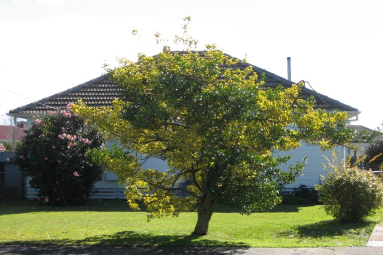 Photo of property in 326 Montgomery Place, Raureka, Hastings, 4120