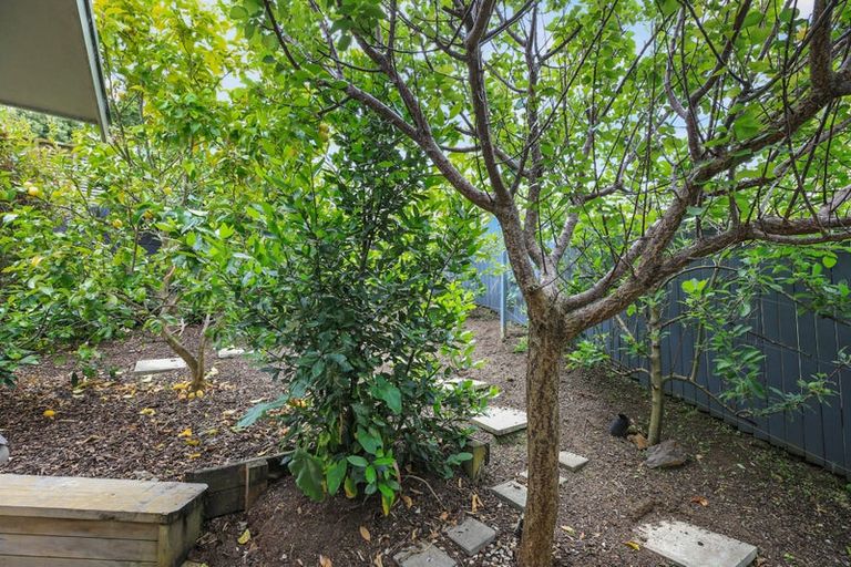 Photo of property in 110 Sandes Street, Thames, 3500