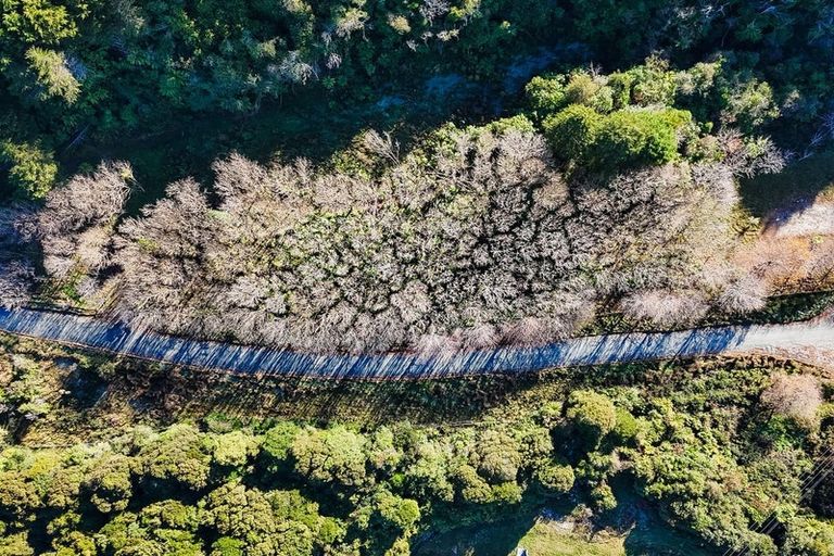 Photo of property in 754 Rutherglen Road, Marsden, Greymouth, 7872