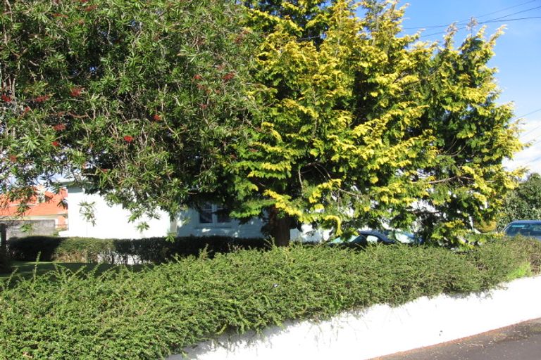 Photo of property in 111 Forest Lake Road, Forest Lake, Hamilton, 3200