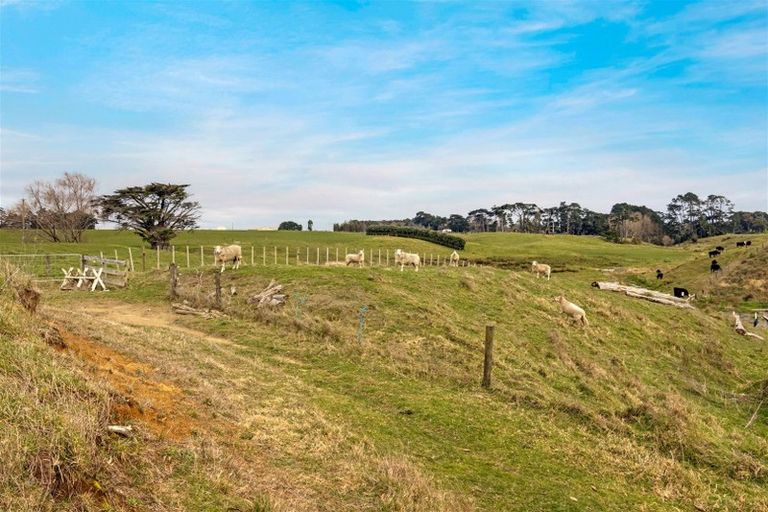 Photo of property in 115 Awhitu Road, Karioitahi, Waiuku, 2683