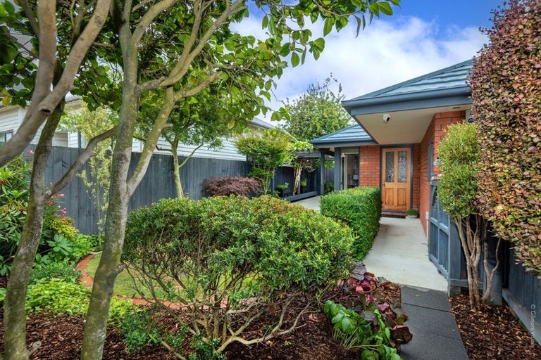 Photo of property in 8 Rosewarne Street, Spreydon, Christchurch, 8024