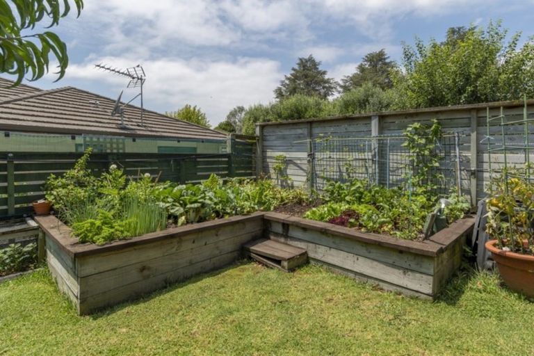 Photo of property in 52 Kayelene Place, Omokoroa, 3114