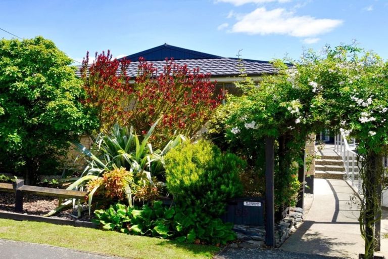 Photo of property in 62 Upper Ure Street, South Hill, Oamaru, 9400