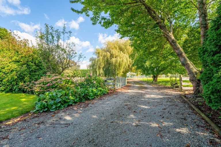 Photo of property in 1643 Glenavy-hilderthorpe Road, Waitaki Bridge, Oamaru, 9493