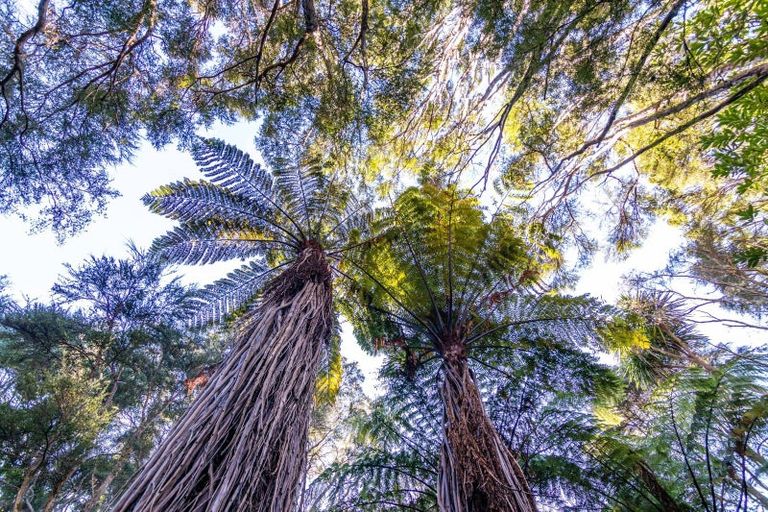 Photo of property in 1469 Pack Spur Road, Mataikona, Masterton, 5889