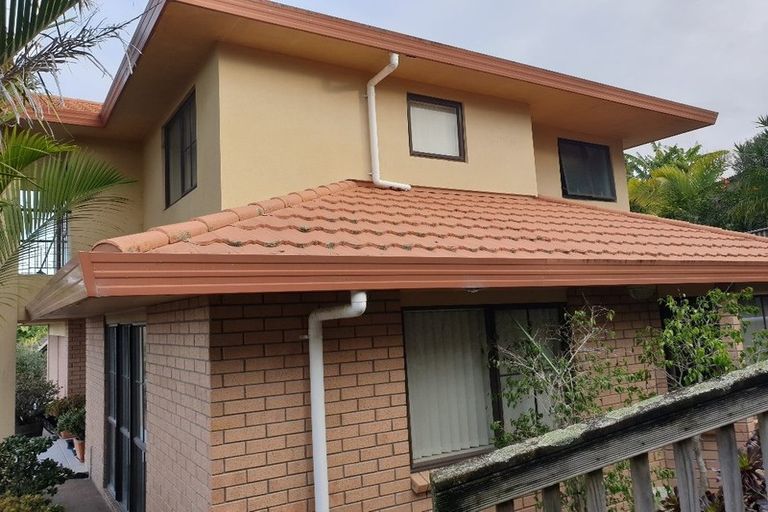 Photo of property in 14 San Domingo Rise, Henderson, Auckland, 0612