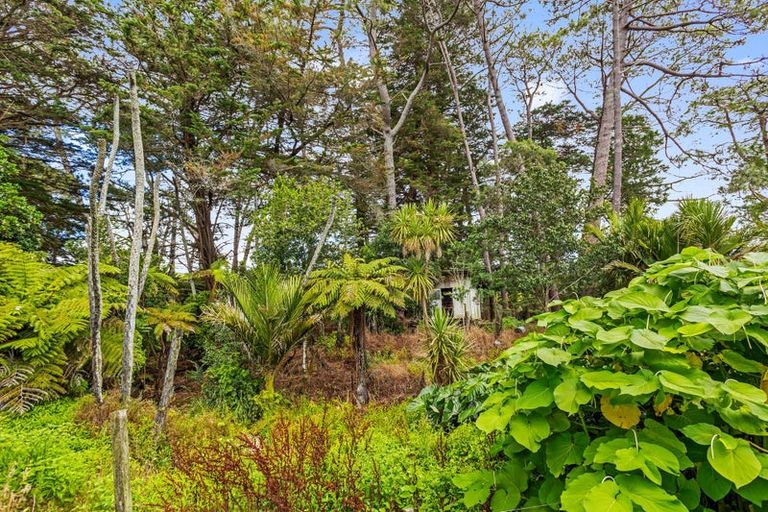 Photo of property in 37 Camp Road, Coroglen, Whitianga, 3591
