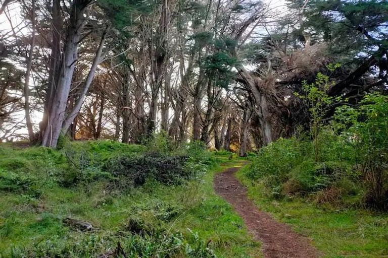 Photo of property in 6 Kapiti Lane, Otaki Beach, Otaki, 5512