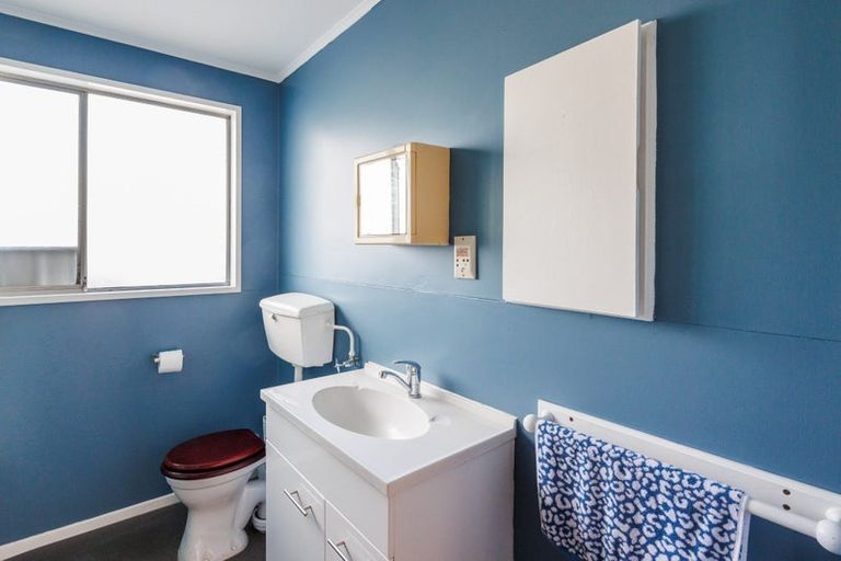 Photo of property in 101 Shamrock Street, Takaro, Palmerston North, 4412