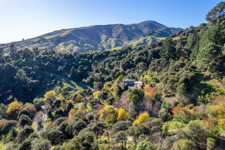 Photo of property in 53a Hillwood Drive, Wakapuaka, Nelson, 7071