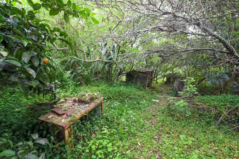 Photo of property in 111 Currie Street, Thames, 3500