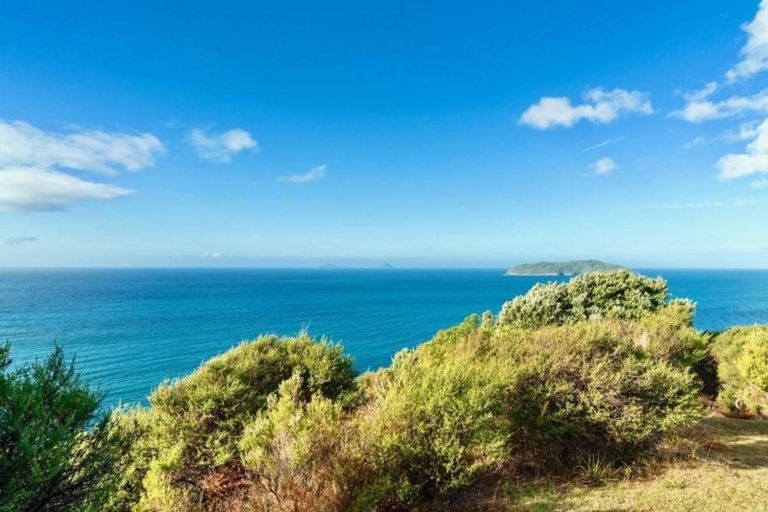 Photo of property in 210 Pumpkin Hill Road, Pumpkin Hill, Whitianga, 3591