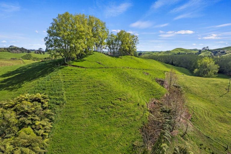 Photo of property in 873 Croydon Road, Te Popo, Stratford, 4394