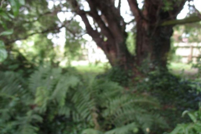 Photo of property in 24 Tawa Street, Murupara, 3025