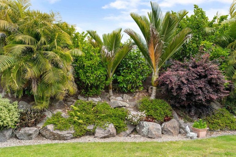 Photo of property in 218 Carmichael Road, Bethlehem, Tauranga, 3110