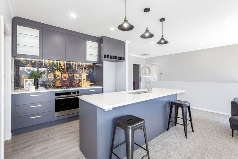 Photo of property in 117 John Burke Drive, Aotea, Porirua, 5024