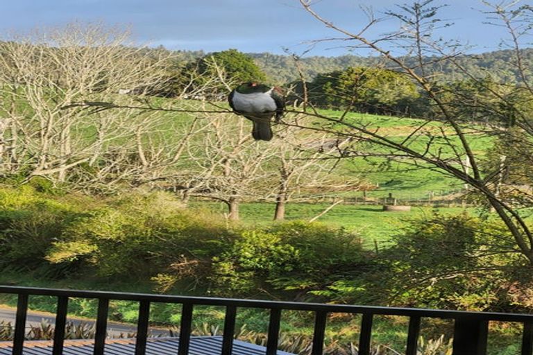 Photo of property in 542 Waitekauri Road, Waikino, Waihi, 3682