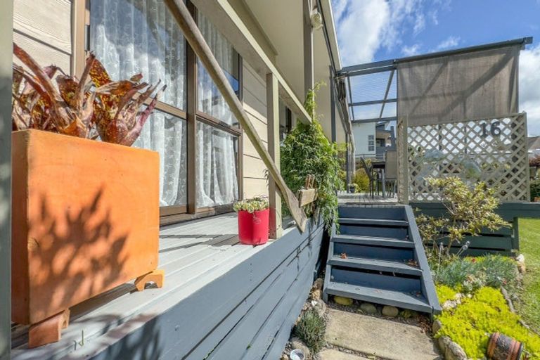 Photo of property in 16 Mcdonald Place, Paeroa, 3600