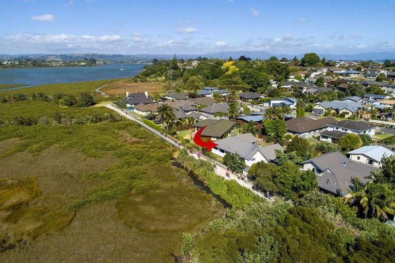 Photo of property in 44b Sylvania Drive, Matua, Tauranga, 3110
