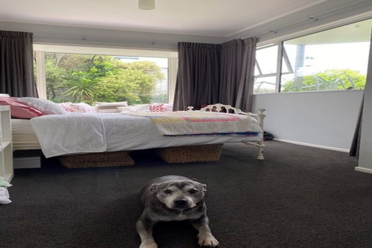 Photo of property in 43 Pope Street, Camborne, Porirua, 5026