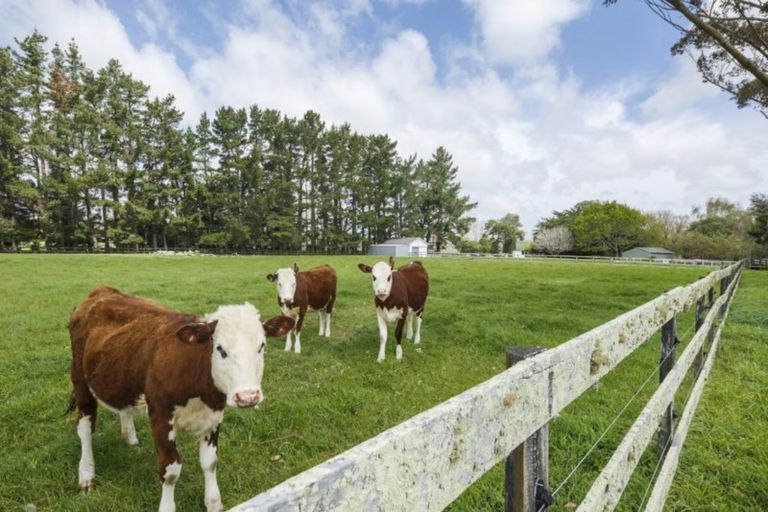 Photo of property in 273 Parewanui Road, Bulls, 4894