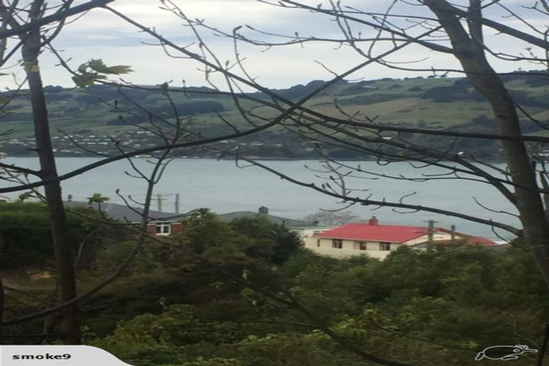 Photo of property in 14 Kowhai Street, Ravensbourne, Dunedin, 9022