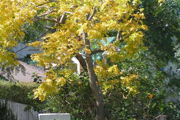 Photo of property in 4/4 Council Terrace, Northcote Point, Auckland, 0627