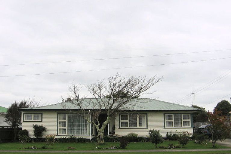 Photo of property in 28 Carlisle Street, Levin, 5510