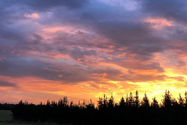 Photo of property in 830 Oxford Road, Fernside, Rangiora, 7471