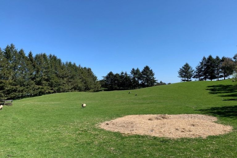 Photo of property in 1173 Poihipi Road, Oruanui, Taupo, 3377