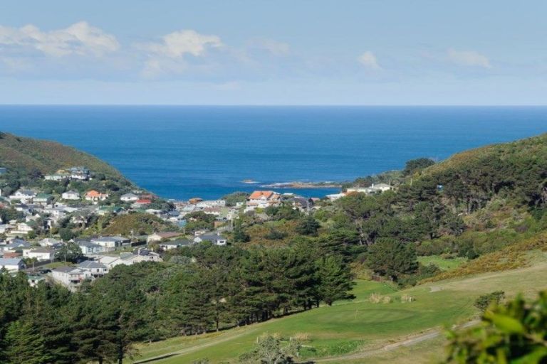 Photo of property in 27 Farnham Street, Mornington, Wellington, 6021