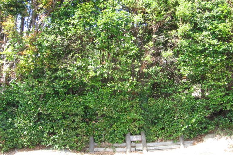 Photo of property in 41 Braemar Road, Castor Bay, Auckland, 0620