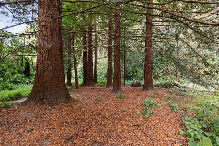 Photo of property in 177 Forest Hill Road, Aokautere, Palmerston North, 4471