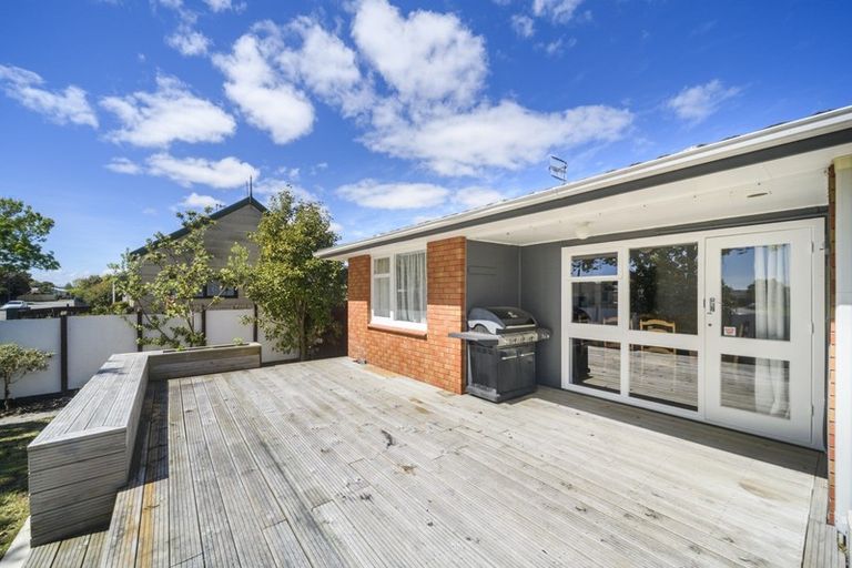 Photo of property in 19 Clarke Avenue, Highbury, Palmerston North, 4412