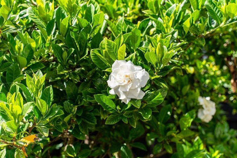 Photo of property in 348b Western Hills Drive, Avenues, Whangarei, 0110