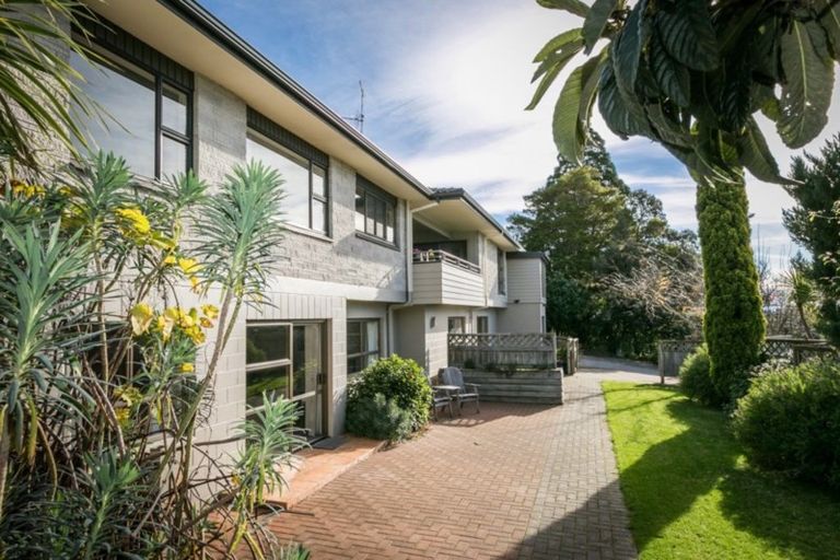 Photo of property in 82 Mchardy Street, Havelock North, 4130