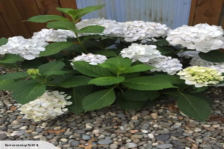 Photo of property in 2/12 Noble Street, Nukuhau, Taupo, 3330