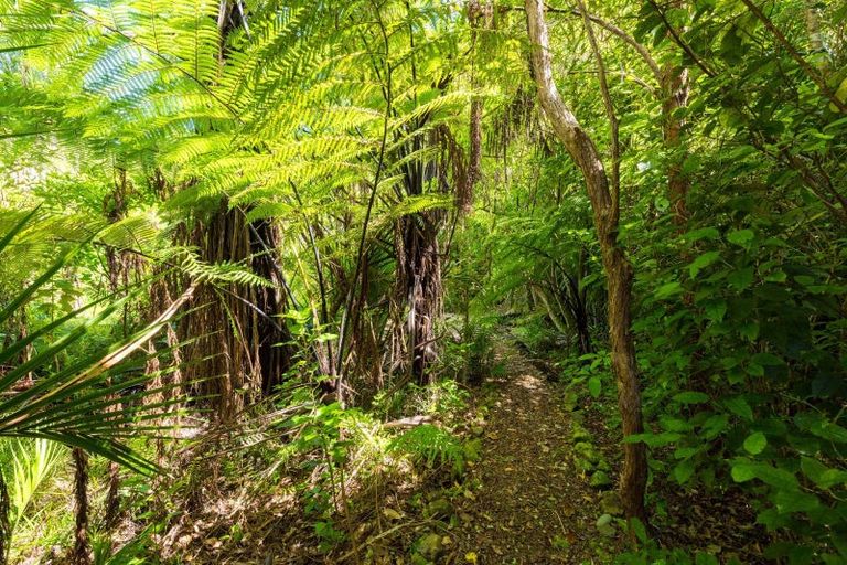 Photo of property in 331 Mahau Road, Mahau Sound, Picton, 7282